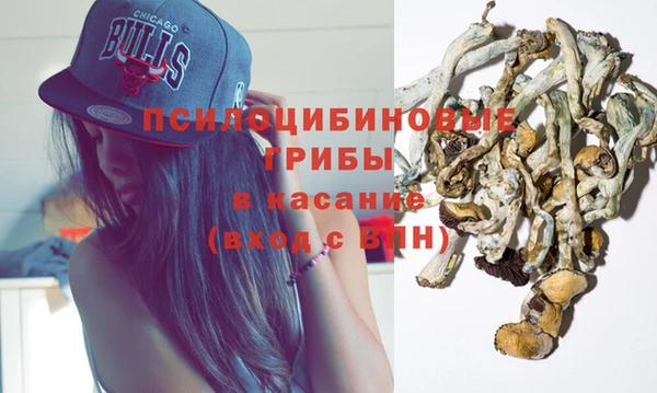 прущие крисы Алексин